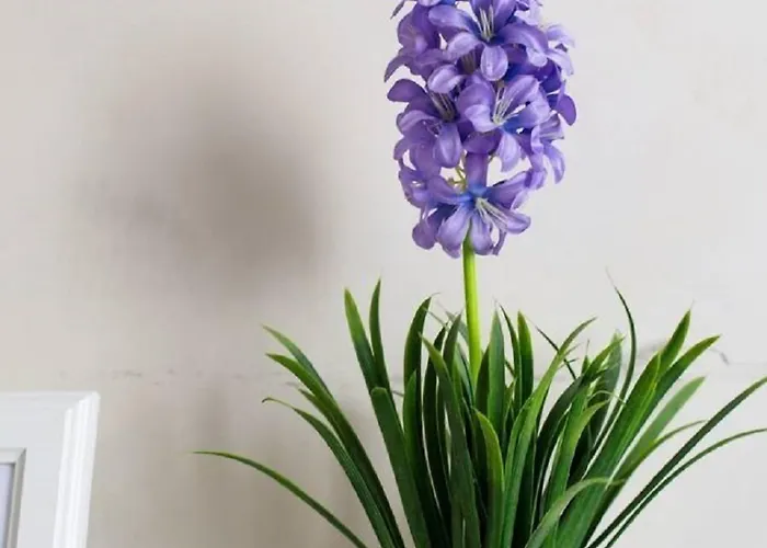 Enrico Pensión Roma